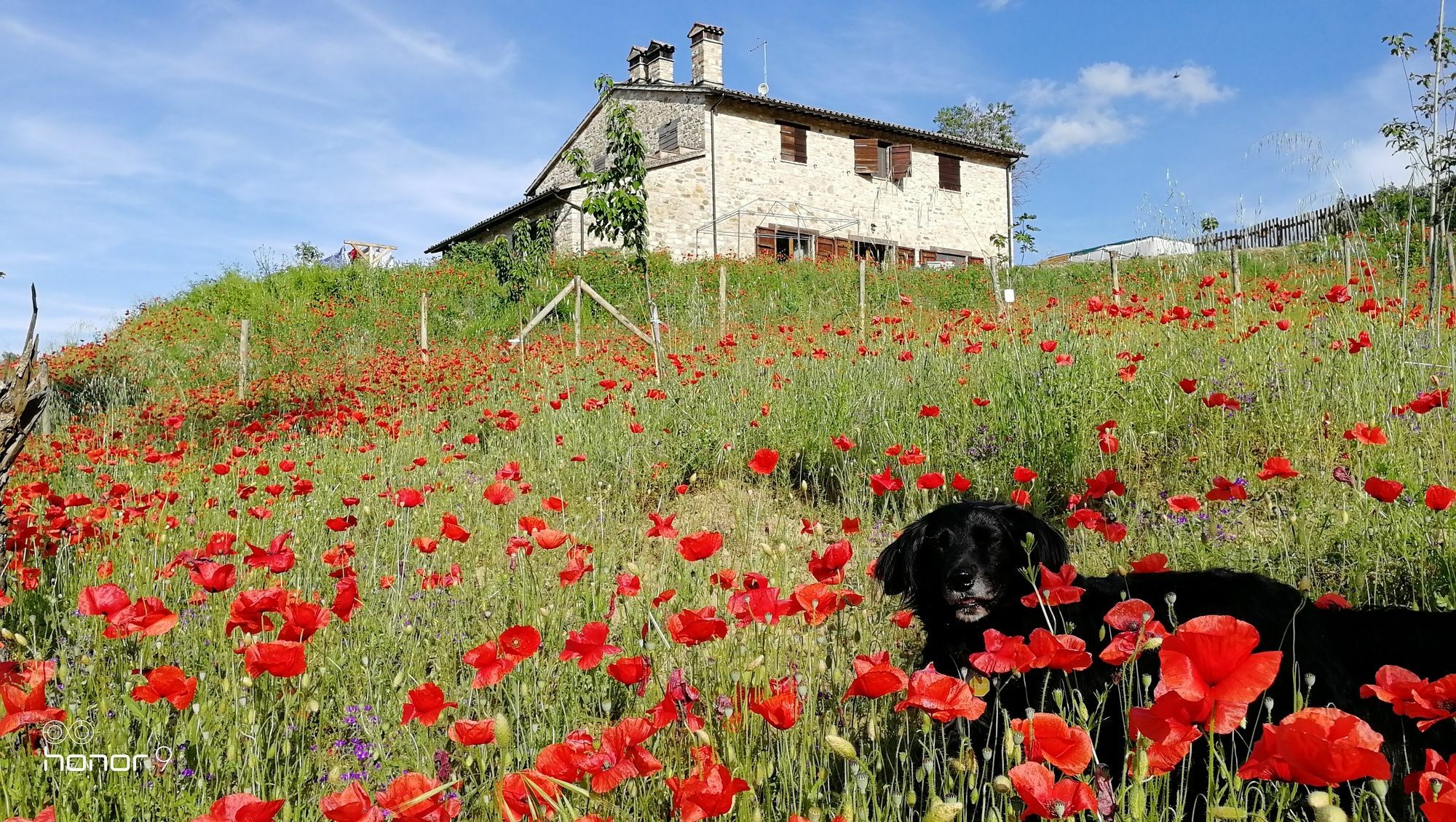 Bed and Breakfast Casale Le Orme à Todi Extérieur photo